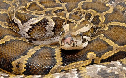 python 07 oct 16